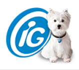 Logo IG